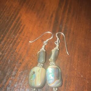 Elegant abalone Dangle Earrings